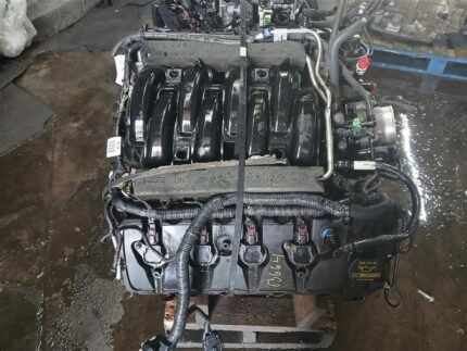 5.0L (VIN F, 8th digit)